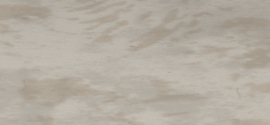 4959 Madre Perola - Wilsonart Edge Banding