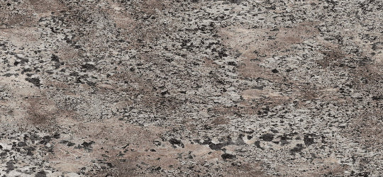 5008 Praline Antico - Wilsonart Edge Banding