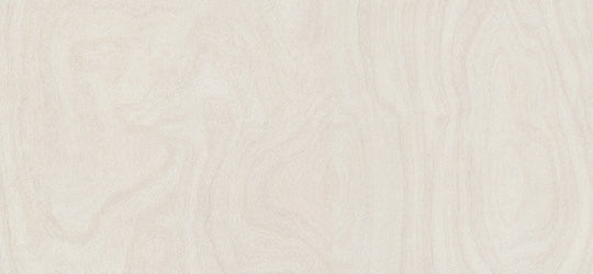 6372 White Washed Birchply - Formica Edge Banding