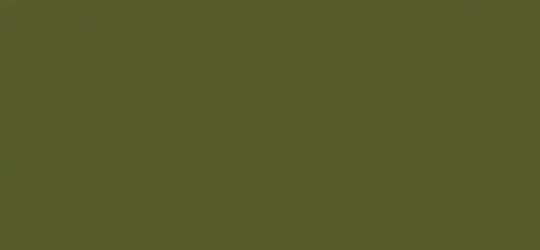 8796 Algae - Formica Edge Banding