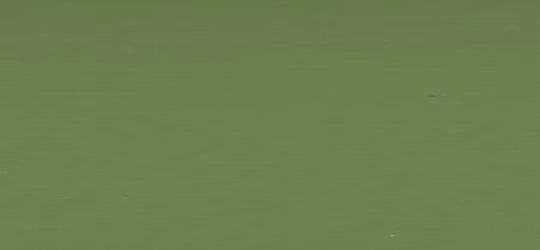 8820 Leaf Green - Formica Edge Banding