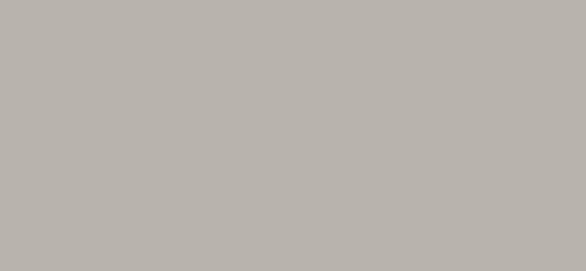 902 Platinum - Formica Edge Banding