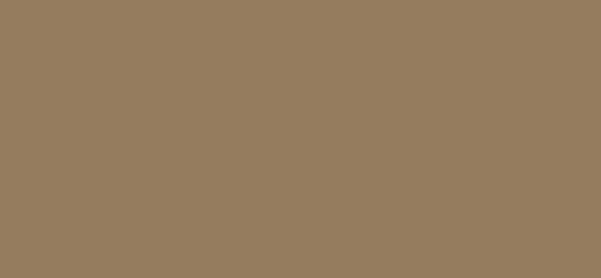 913 Indian Smoke - Formica Edge Banding