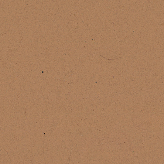 Formica Natural Recycled Kraft 9684 - Laminate Sheets