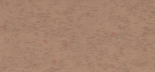 4663 Tawny Legacy - Wilsonart Edge Banding