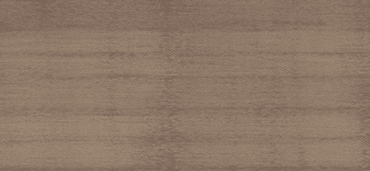 7967 Park Elm - Wilsonart Edge Banding