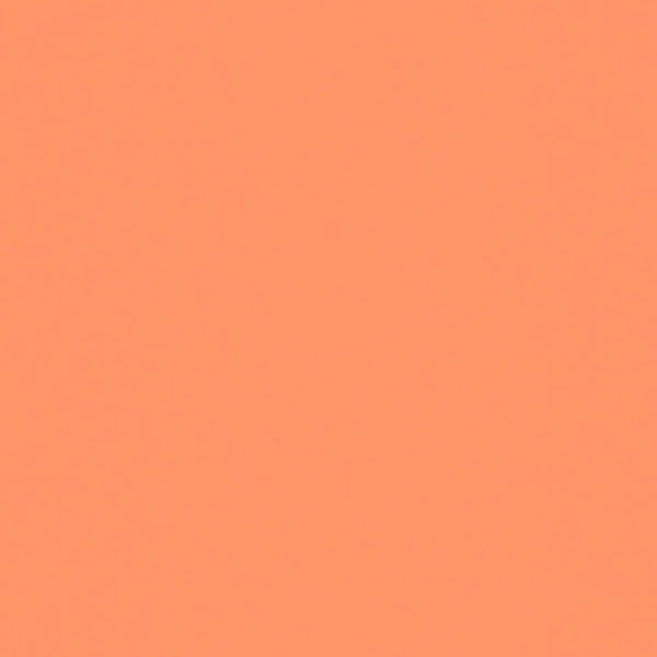 orange-pekorie様23 Spiced Paprika · #D27923 · Name · Color