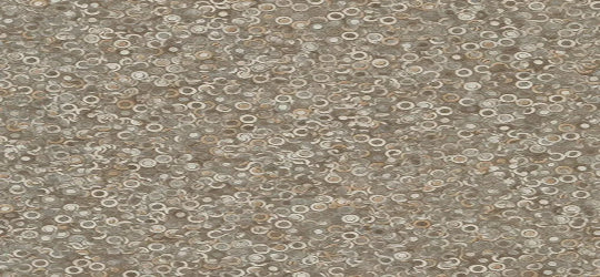 Formica 3698 Beluga Beige Edge Banding