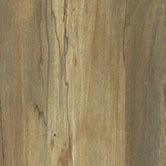 Lab Designs Natural Spalted Maple WM037 Edge Banding