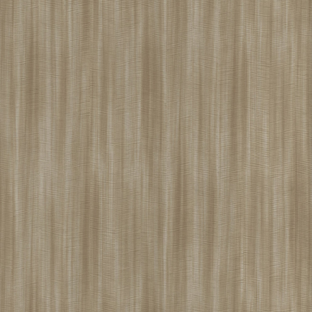 Laminart Figured Sycamore 3116 Edge Banding