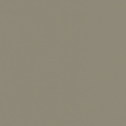 Arauco Prism Ashen Sf232 Edge Banding