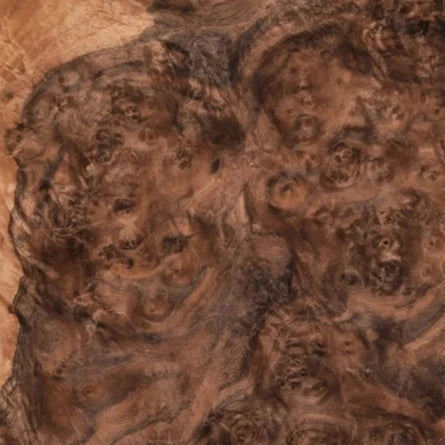 Walnut Burl veneer